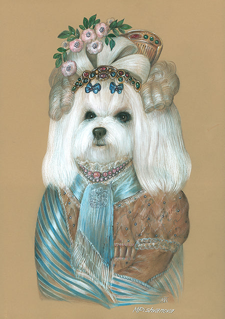 Lady Beauty (Maltese)