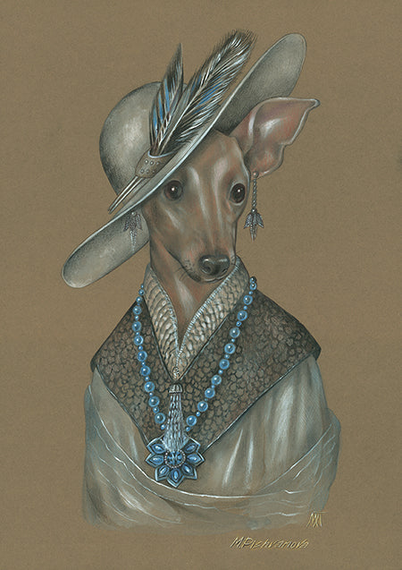 Italian Greyhound (Lady Grace)