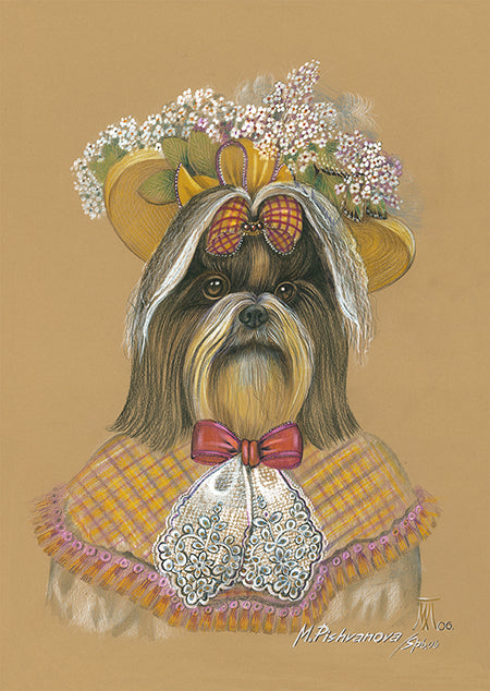 ShihTzu_LadySunny_ArtPrint_AnimalCentury